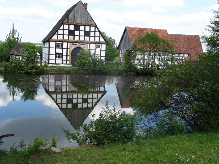 Titelbild Dorf Teich