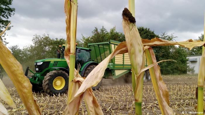 Klimatäter, Klimaopfer Die Landwirtschaft in der EU gehört zu den großen Verlierern des Klimawandels, gleichzeitig trägt sie auch wesentlich zur globalen Erwärmung bei. Nach Energieerzeugung und Verkehr ist die EU-Landwirtschaft der drittgrößte Erzeuger von Treibhausgasen in Europa. Massentierhaltung und massiver Einsatz von Düngemitteln sind die beiden Hauptverursacher von Klima-Emissionen in der Landwirtschaft.